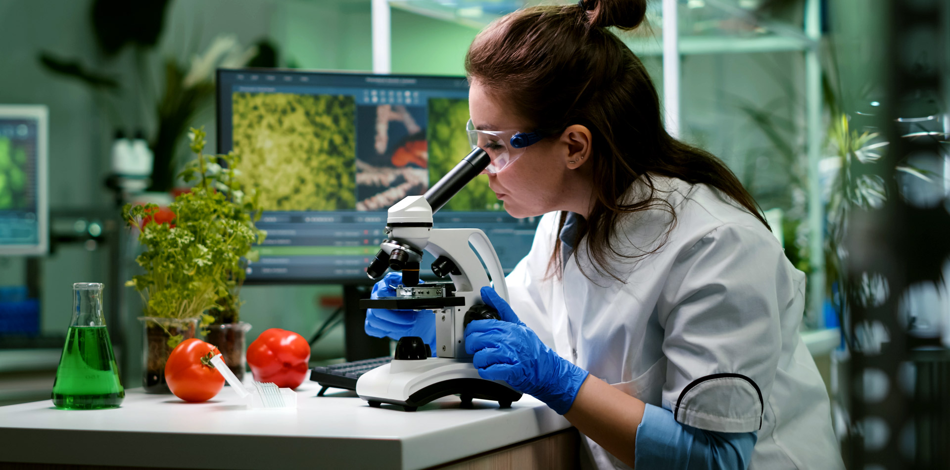 Borafer sıvı gübre özellikleri