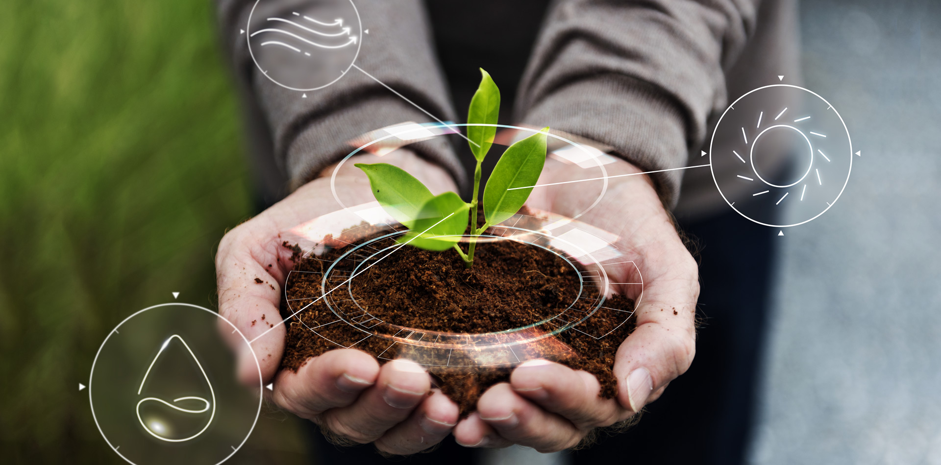 organik sıvı gübre