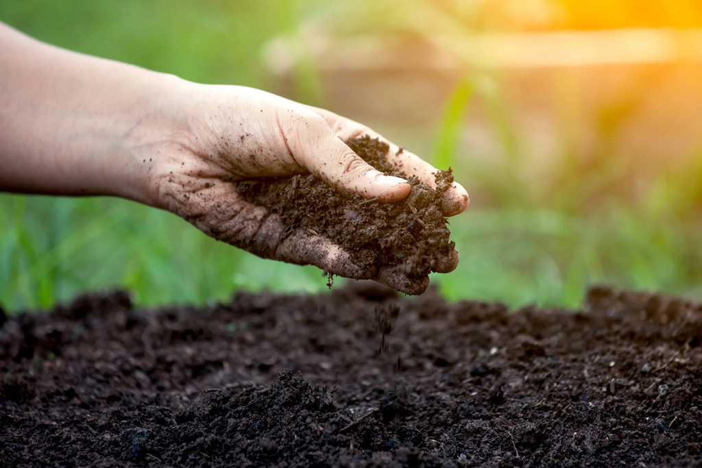 Mikrobiyal Biyokütle ve Enzim Aktivitesinin Önemi