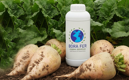 borafer pancarda kullanım