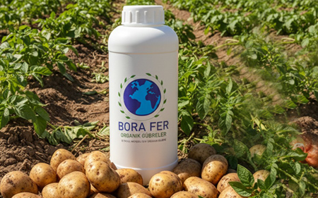 borafer-patates-soganda-kullanim