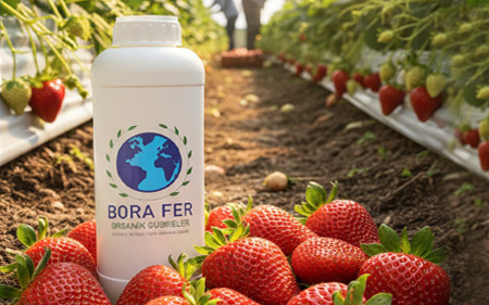 borafer serada kullanım