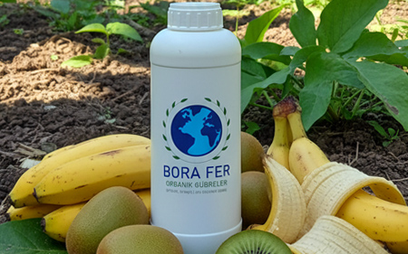 Borafer tropikal meyvelerde sıvı gübre kullanımı