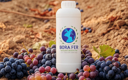 Üzüm bağında sıvı gübre kullanımı Borafer
