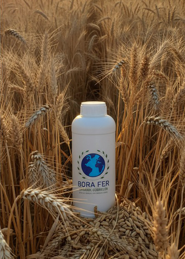 Buğdayda sıvı gübre kullanımı