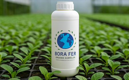 Fide yetiştiriciliğinde sıvı gübre BoraFer kullanımı