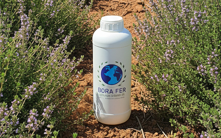 kekik tarlasında sıvı gübre borafer kullanımı