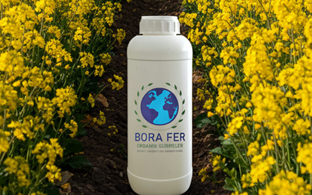 kimyon kanola haşhaşta sıvı gübre kullanımı