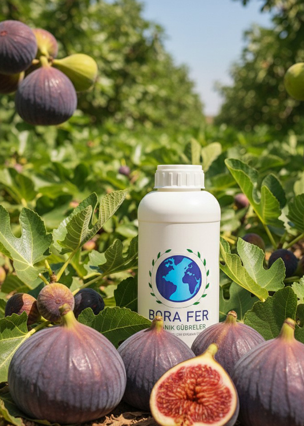 Meyve ağacında sıvı gübre kullanımı