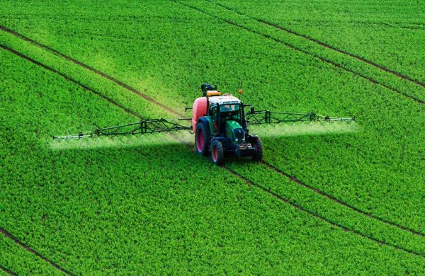 Serada organik sıvı gübre kullanımı.