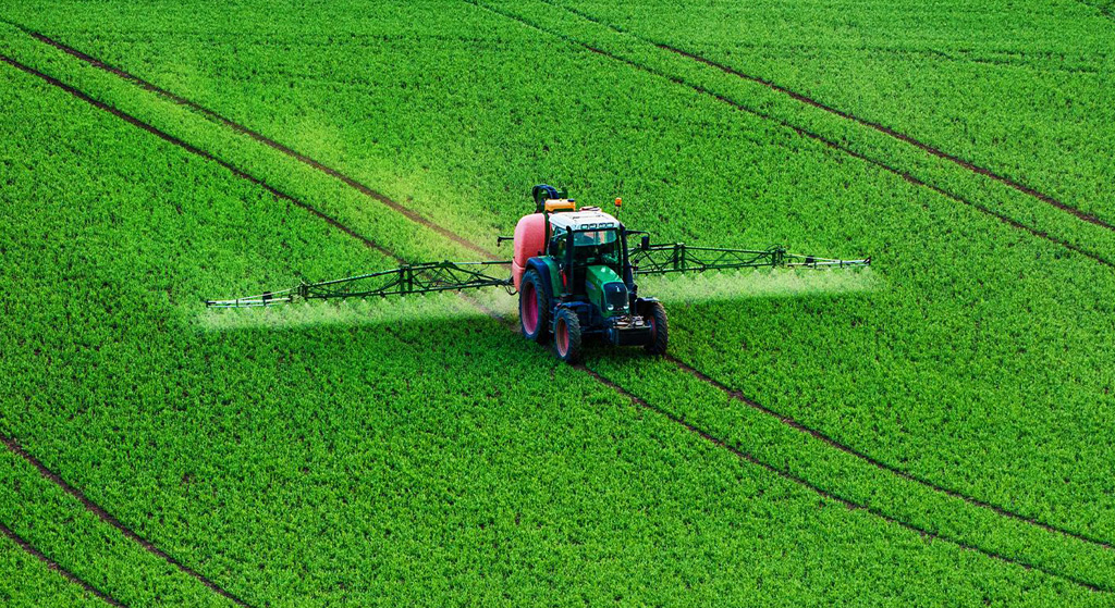 Serada organik sıvı gübre kullanımı.